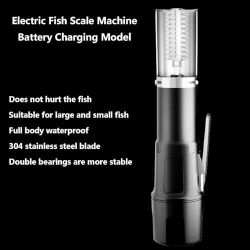Grattoir à échelle de poisson durable avec finition rouleau acier
