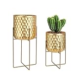 Photo Gallery trirocks set di 2 vasi moderni in metallo con supporto, 31 cm & 45 cm, fioriere per interni/esterni, cucina, soggiorno, balcone (oro) Photo Gallery trirocks set di 2 vasi moderni in metallo con supporto, 31 cm & 45 cm, fioriere per interni/esterni, cucina, soggiorno, balcone (oro)