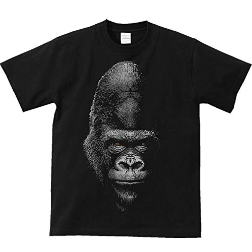 GCfBGX(MYDS) Èł̃S/TVc//ݽXL