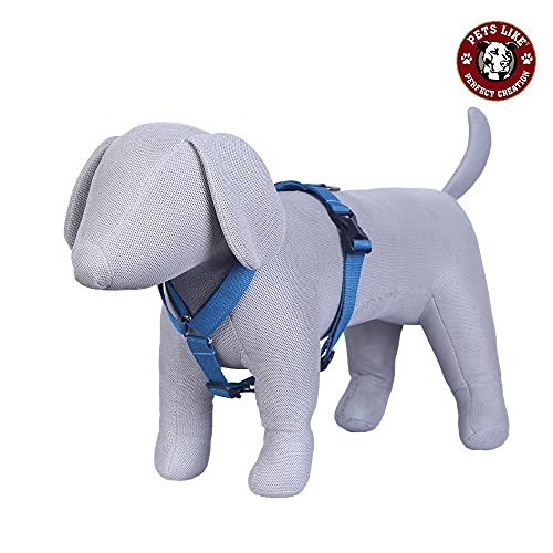 SNUNGPHIR Petslike Full Harness, Small, Dog (Sky Blue)
