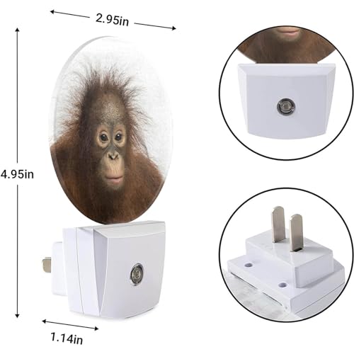 Image of EKOBLA Monkey Night Light, Funny Ape Wildlife Night Lights Plug Into Wall with Dusk to Dawn Sensor, LED Nightlights for Bedroom, Bathroom, Gifts Ideal for Kids Teen Boys Girls Women