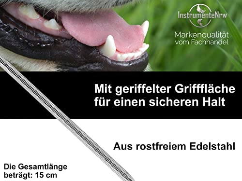 Hunde Zahnstein Zahnbelag Entferner Kratzer Reiniger Schaber Flügel 2-Seitig Zahnsteinentferner Zahnreiniger für Haustiere aus Edelstahl Zahnpflege Zahnsteinkratzer