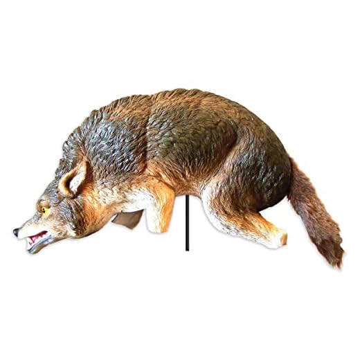 Lifelike Bird Scaring Coyote Decoy