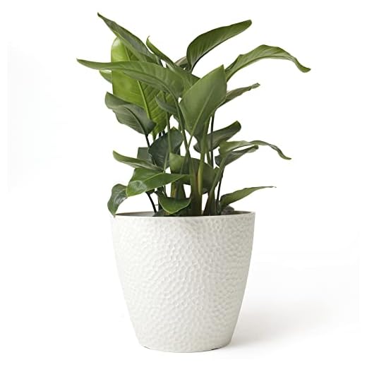 LA JOLIE MUSE Modern Indoor/Outdoor Planters