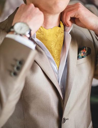 Image of Barry.Wang Ascot Ties Cravat Tie Men Paisley Plaid Scarf Self Tie Pocket Square Cufflinks Set Wedding Party