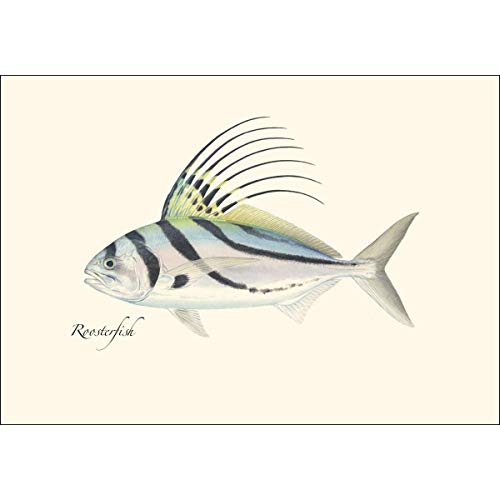 Image of Earth Sky + Water - Roosterfish Notecard Set - 8 Blank Cards with Envelopes