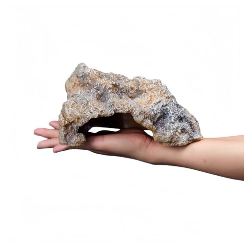 Hymist ށE঒ރVF^[ TBƁEJVF^[ gJQVF^[p T̕EJ T̓ȂڂExeeX BƃnEX  (MTCY)