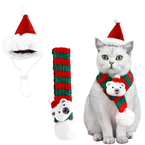 �yBEAUTY PLAYER�z�N���X�}�X �� �L �R�X�v�� ���b�h �X�q �}�t���[ ���^�� ���^�� ���� ��蕨 ���� �ʔ��� �ڂɗ��� ��������� �ϐg ���͋C���[�J�[ �B�e����