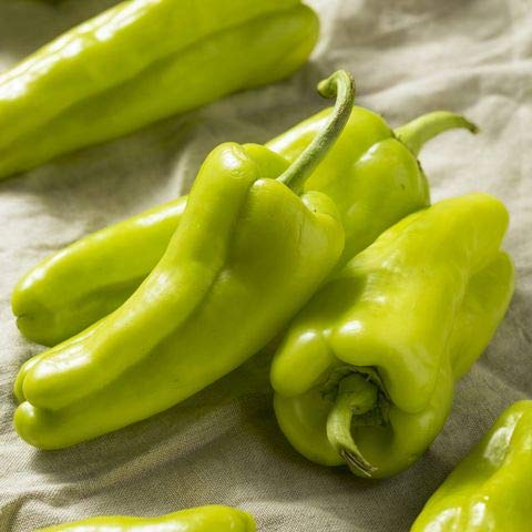 See full amazon price history chart for Vegetables Seeds | Green Chilli Big / Moti Hari Mirch Seeds For Home & Kitchen Gardening | Vegetables Plants Seeds Pack of 15 Seeds - By Audbhidhi Vegetables Seeds | Green Chilli Big / Moti Hari Mirch Seeds For Home & Kitchen Gardening | Vegetables Plants Seeds Pack of 15 Seeds - By Audbhidhi (B0BCKPYK1X) Amazon Price History, Amazon Price Tracker