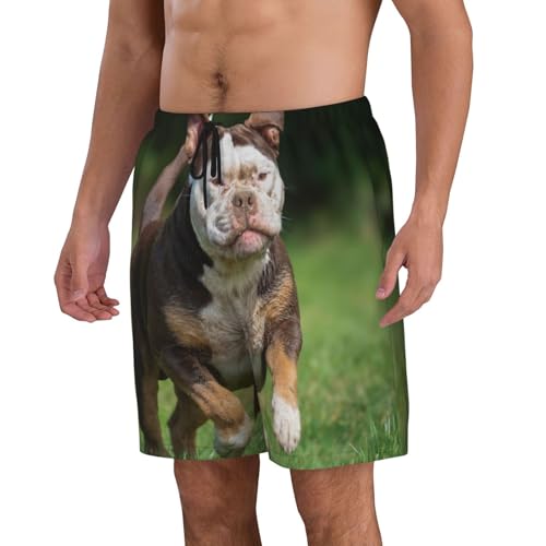Men's Beach Shorts Animal Bulldog Dog Mens Swim Trunks Board Shorts with Pockets Swimwear Bathing Suits2