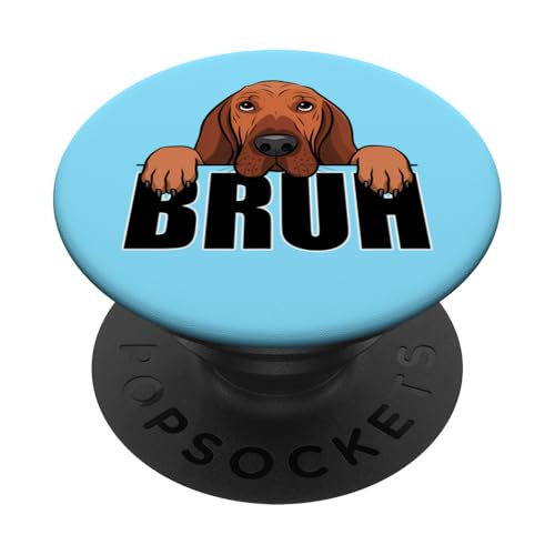 Bloodhound Brush Funny Cute Dog Lover pour Hommes, garçons et Enfants PopSockets PopGrip Adhésif