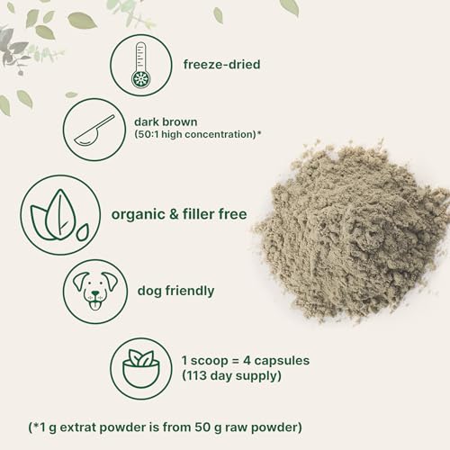 Sustainably US Grown, Organic Turkey Tail Mushroom Powder (50:1 Extract), 8 Ounce, Freeze Dried with