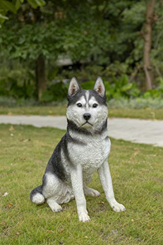 Estatua grande de Husky Siberiano negro y blanco miniatura 2