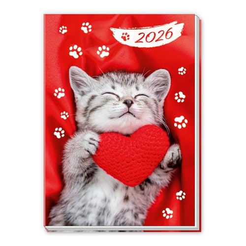Trötsch Taschenkalender A7 Katze 2026: Mini-Terminkalender