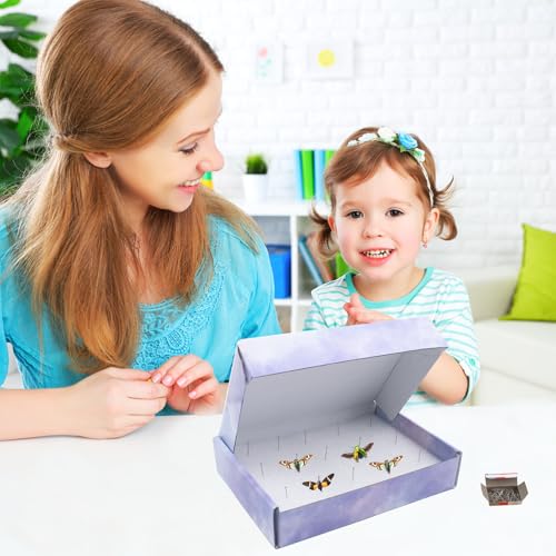 Image of 4 PCS Insect Pinning Boxes for Entomology, Suitable for Project Bugs Collection and Specimen Displays, 7.9 x 5.5 x 1.6 Inch