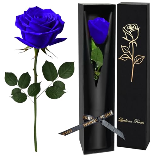 Blue Single Forever Roses Luxury Gift for Women/Men Fresh Flowers Bouquet for Girlfriend Wife Mom Anniversary Valentines Day Wedding Graduation Christmas Birthday Unique Presents for Her