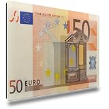 TRIOSK Kühlschrankmagnete Geldschein Deko Magnet 50 Euro Banknote Euroschein Geldgeschenk für Finanzberater Banker Geldsammler Kühlschrank Magnettafel Büro stark eckig groß 85x55 mm