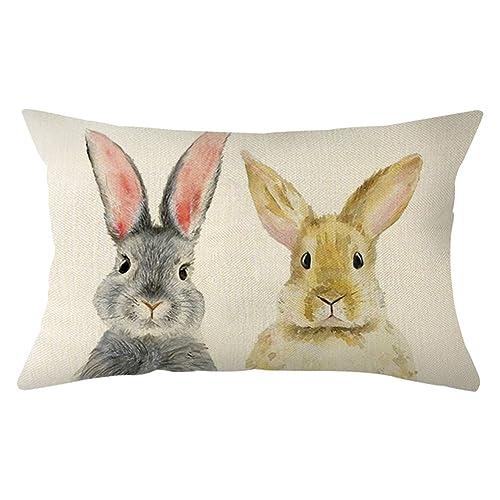 Ogiselestyle Welcome Easter Bunny Throw Pillow Cover, 12 x 20 Inc...