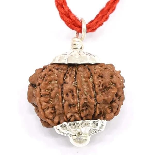 10 mukhi Rudraksha Original Certified Lab Test & with Silver Capping| 10 Face Rudraksha Pendant-image-18
