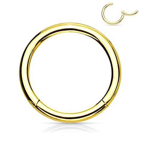 Forbidden Body Jewelry 316L Surgical Steel Hinged Seamless Nose Rings Hoop 18 Gauge (18G), Diameter 10Mm, Gold Tone. #TOP9
