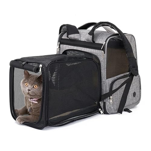 TPRKOEZNI eʁA_ug\ALpobNpbNAʋCA܂肽ݎANGCeBuAAEghAspLbgLAAWbp[tybgL[P[Xt