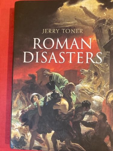 Roman Disasters view 2