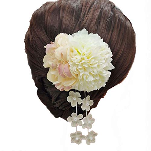  l ܎O Ǝ ܂ݍ׍H U ѕ a    hCt[    wAANZT[A201103 (BCG[)