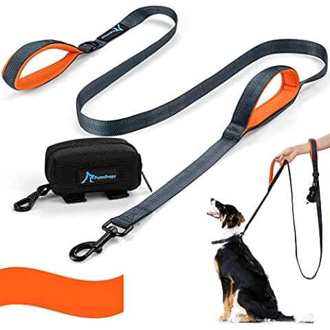 PuppyDoggy Dog Lead 6ft Long With 2 Padded Handles and 3 Reflective Stitching Dog Rope for Large to Medium Dogs Dog Leash with Poop Bag Dispenser for Walking Training (Orange) Cover