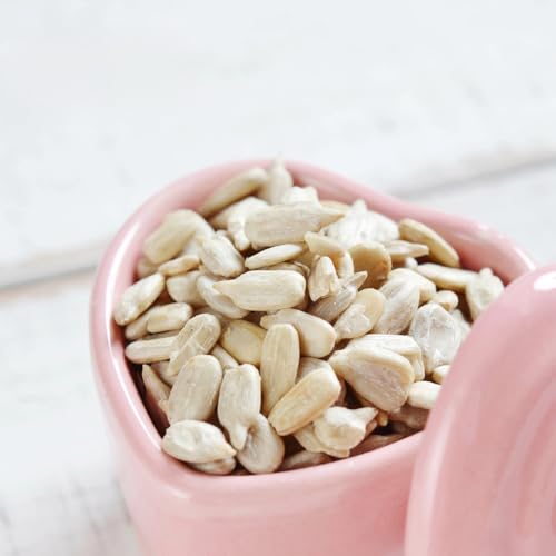   Y  Tt[V[h Ђ܂̎ Hp fĂ ̂ gbsO NHi   ˂ J  v[g Ĉ (40g)