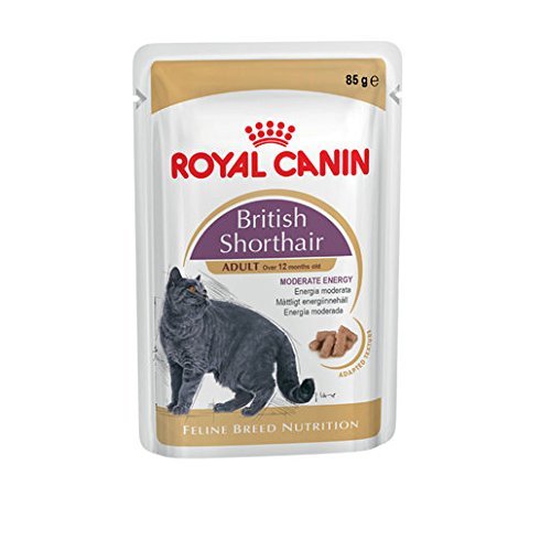 Royal Canin -felino Raza Nutrición Wet British Shorthair Adulto, 12x85g