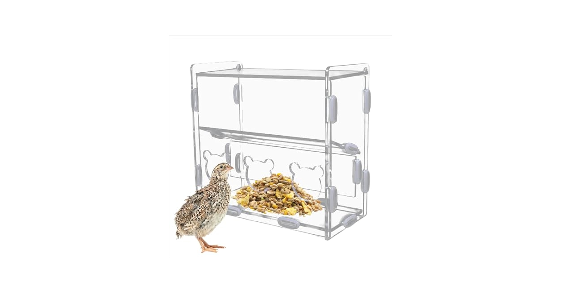Pull-out Transparent Parrot Feeder, 18.5 * 14.5 * 14cm Parrot Feeders