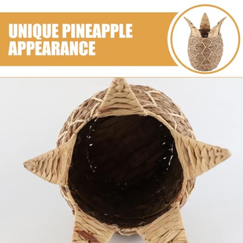 Panier tressé d'ananas multifonction, rangement bureau en fer