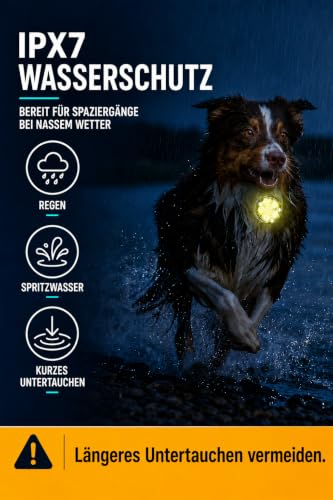 2 Stück Hundelicht, 8 Modi, wiederaufladbar, IPX7, Silikonband – Ansicht 8
