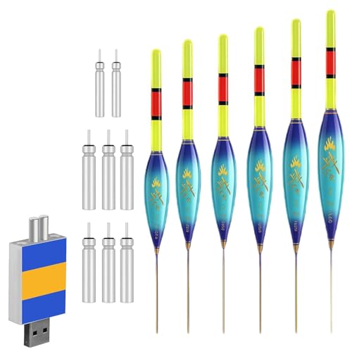 BAIFULAI 6 pezzi luci a LED da pesca con indicatore di morso: boa per pesci notturni a doppio colore 4 g/5 g/6 g/7 g/8 g/9 g portata: pose luminose da pesca con batterie, caricabatterie, accessori da
