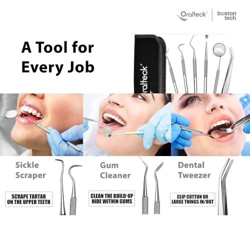 Image of Nuevo Dental tools Cleaning Kit Premium German Stainless Steel Plaque Cleaner, Tartar Remover, 6 Pieces Oral Care Instruments with Case Suitable for Adults Kids and Pets (Black)