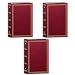 3-ring Pocket Burgundy Album for 504 Photos - 4"x6" (3 Pack)