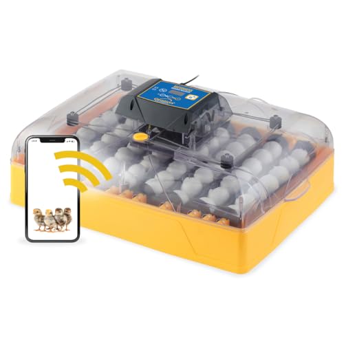 Brinsea Ovation 56 EX Connect App Controlled Egg Incubator with Automatic Egg Turning and Humidity Control for Hatching 56 Chicken Duck Other Eggs Precision App-Driven Digital Controls and Alarms