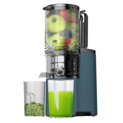 Cold Press Juicer, 5.4" Wide Feed Chute Juice Extractor Machine with 400W, High Juice Yield, Slow Masticating Juicer for Whole Vegetables & Fruits, Light Gray