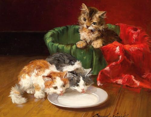 Kits de pintura por números para relajarse en casa pintando gatos