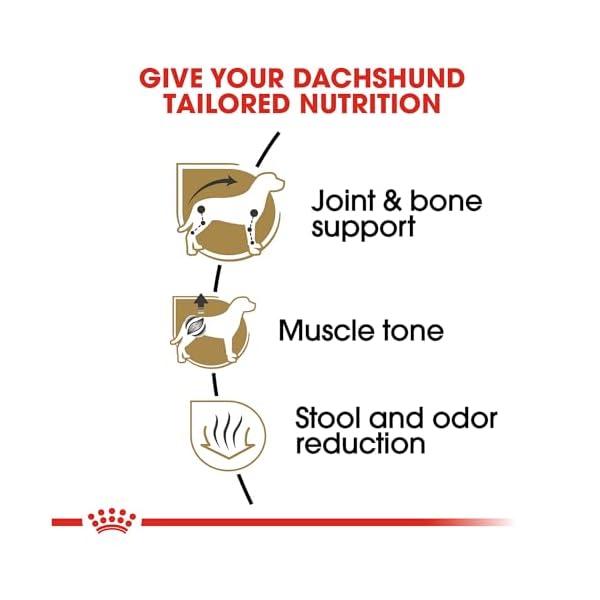 Royal Canin Dry Dog Food, Dachshund Formula, 10-Pound Bag by Royal Canin – Bild 6