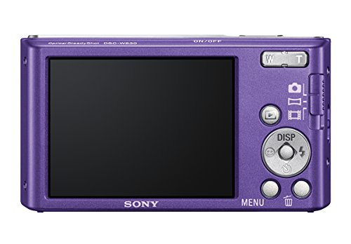 Sony CyberShot DSC W830 MP Point and Shoot Camera (Violet