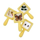 Interactive Specimen Viewers for Young Scientists