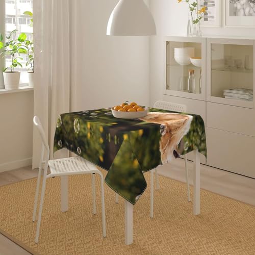 Nappe carrée pour chien imperméable : la solution anti-tache pour table de cuisine