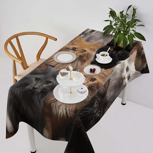 Nappe de table rectangulaire lavable pour protéger votre mobilier des taches - 3