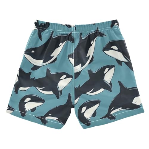 Boccsty Killer Whale Animal Blue Boys Swim Trunks Baby Kids Swimwear Summer Toddler Beach Board Shorts 2T2