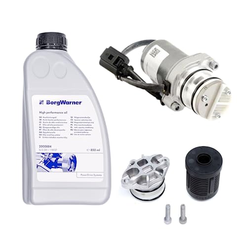 BorgWarner 4. Generation Haldex Pumpe 0AY598549A / 119866 und Filter 111358/2003085 Hochleistungs-Öl-Kit Borgwarner