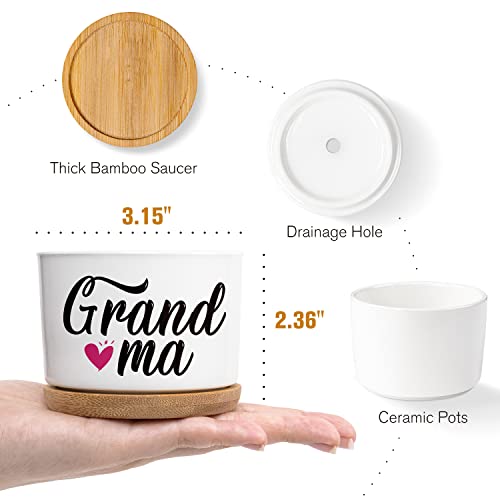Christmas-Thanksgiving-Gifts-for-Grandma-Grandma-Thoughtful-Gifts-from-Grandchildren-Grandma-Birthday-Gifts-Best-Grandma-Ever-Gifts-from-Granddaughter-or-Grandson-Great-Pots-Gift-Ideas-for-Grandma