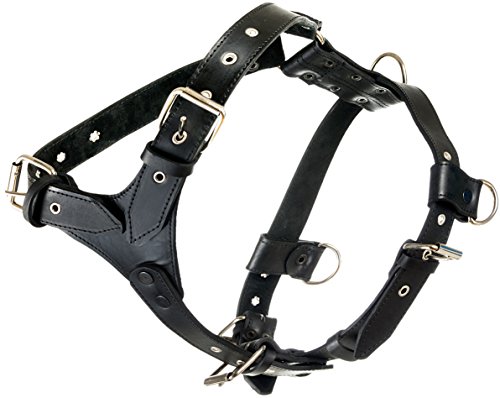 Genuine Leather Dog Harness X-Large 33″-40″ Chest, 1.3″ Wide Adjustable Straps (Black) Genuine Leather Dog Harness X-Large 33″-40″ Chest, 1.3″ Wide Adjustable Straps (Black)