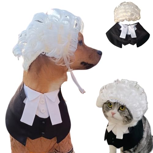 Dog & Cat Lawyer Judge Costume, Wig & Robe Set for Small Medium Large Pets, Cute Funny Dress Up Outfit Clothes for Halloween Christmas (Large)