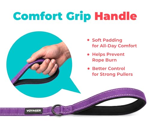 Image of Best Pet Supplies Voyager Reflective Dog Leash or Collar with Neoprene Handle, for Small, Medium, and Large Breed Puppies, Cute and Heavy Duty for Walking, Running and Training - Purple (Leash), S